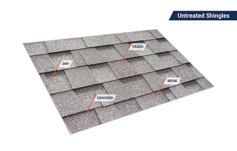 Untreated, weathered asphalt shingles showing dry, cracked, faded areas