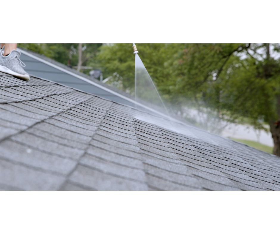 GreenSoy™ application — penetrating shingle restoration in progress